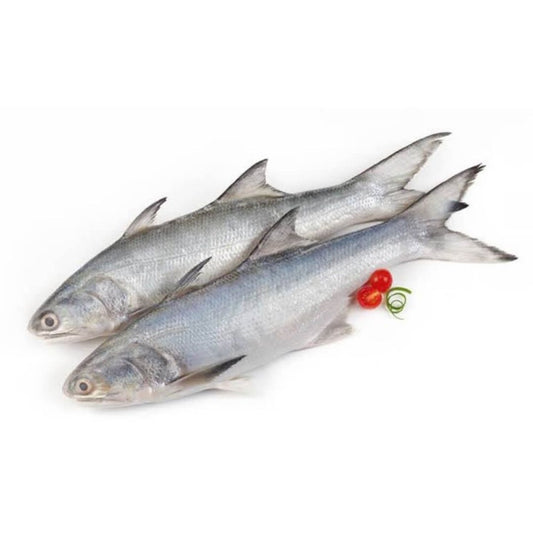 Rawas Fish Fillet (Indian Salmon)   Fresh
