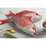 Red Snapper Whole  Fresh