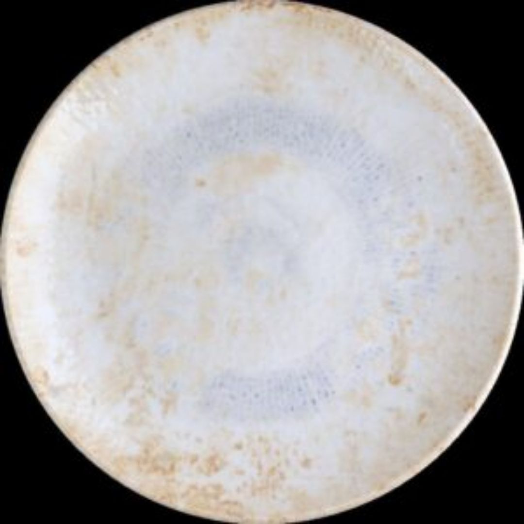 Round Rimless Plate CELESTIAL