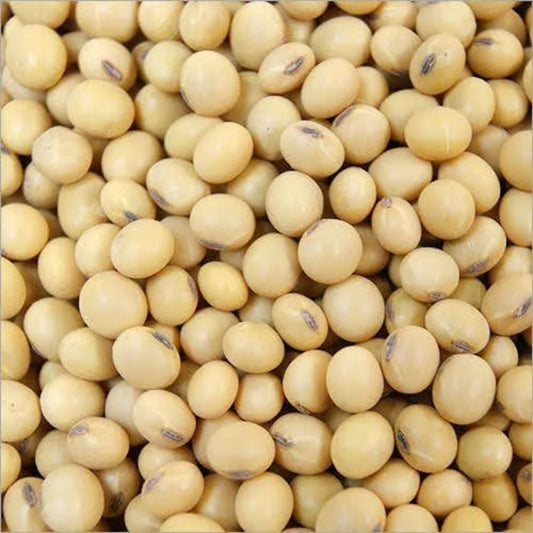 Soyabeen Seed  Kgs