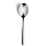 Table Spoon _ Dinner Spoon Aria