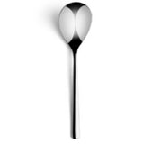 Table Spoon _ Dinner Spoon Maverick