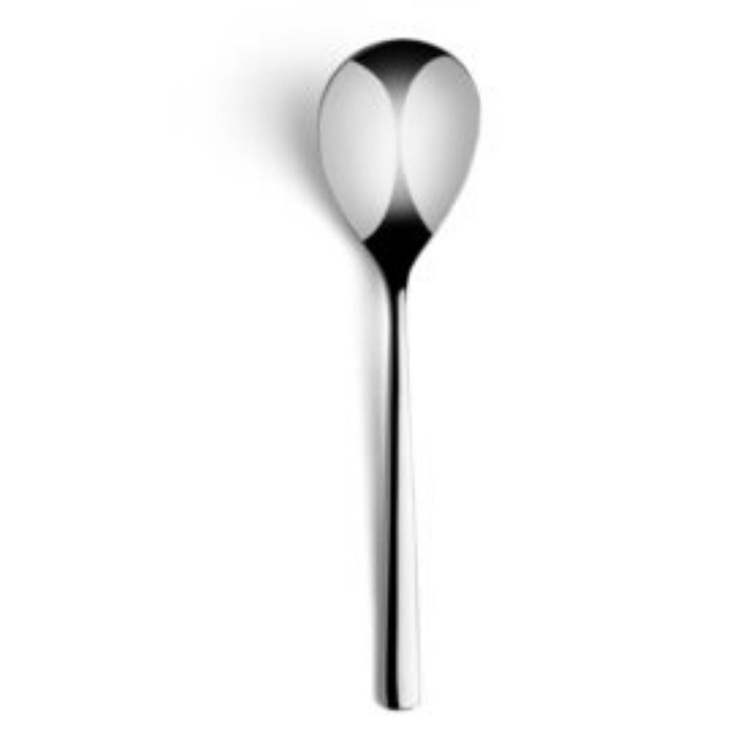 Table Spoon _ Dinner Spoon Nova