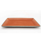 Terracotta Collection Rectangular Platter Big L-29cm_B-19cm ArtEvo