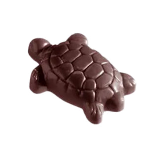 Turtle Windsor Chocolatier