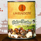 UKEMOCHI CANNED BAMBOO SHOOT HALF IN WATER 507G OISHII