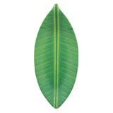 Vignette Platter 37_15.5 cm Banana Leaf