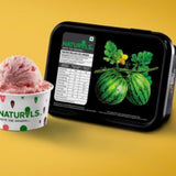 Watermelon Ice cream Naturals