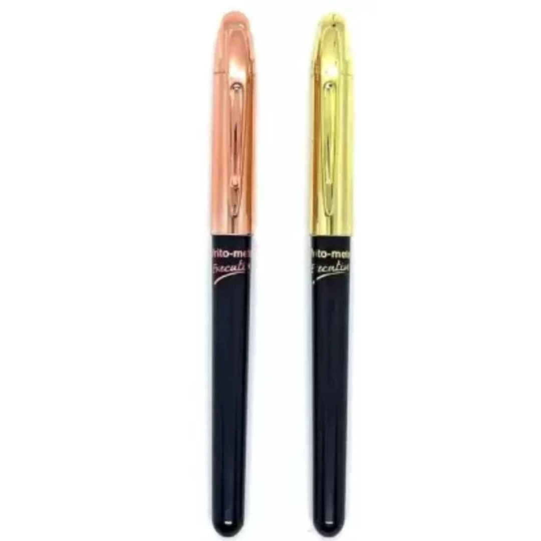 Writo Meter Executive Ball Pen Pack Of 2 Flair