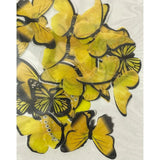 Yellow  Edible butterfly Wafer Paper Bake Haven