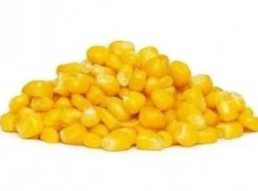 Fresh American Sweet Corn Loose 1 Kg